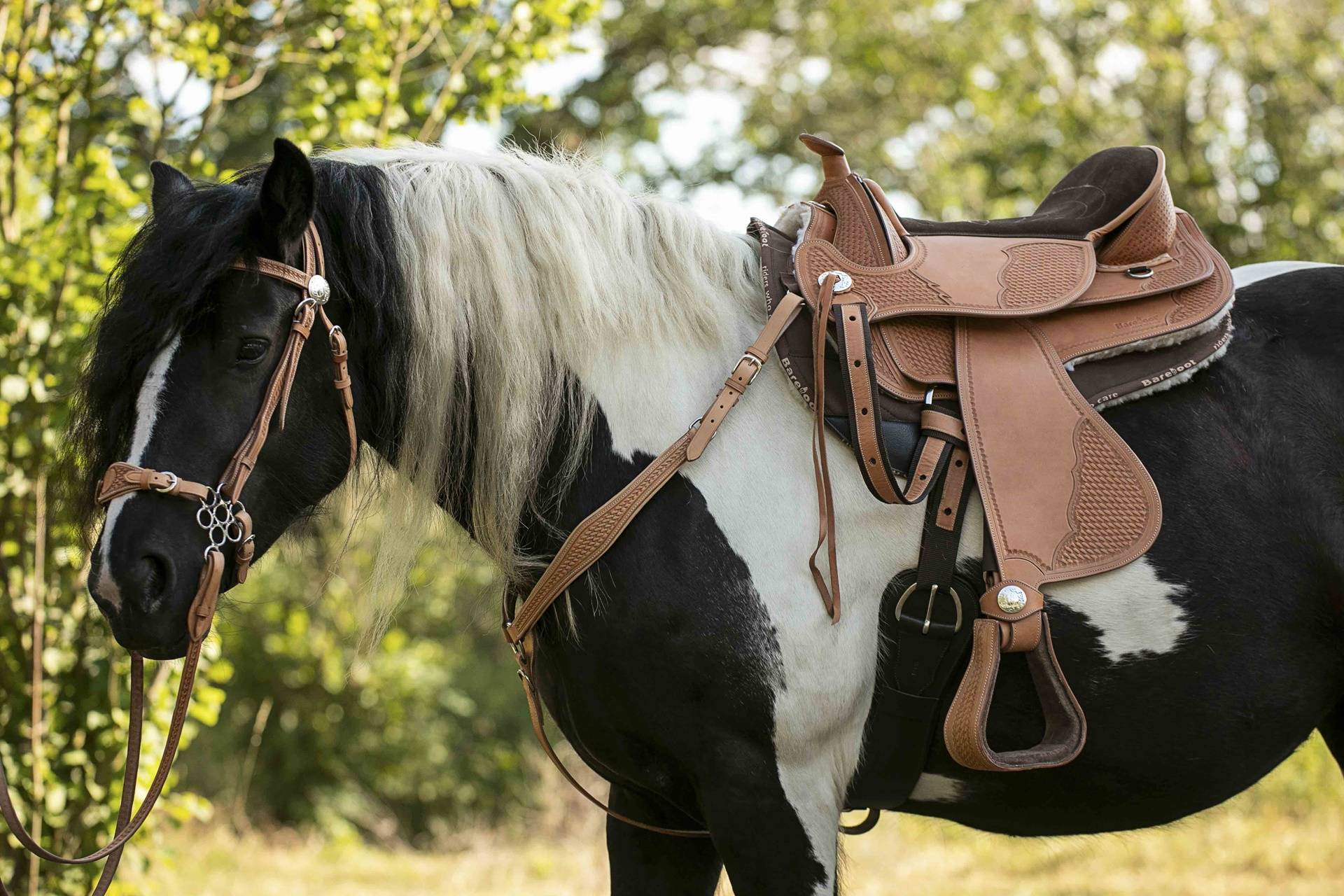 Barefood Saddle Austria